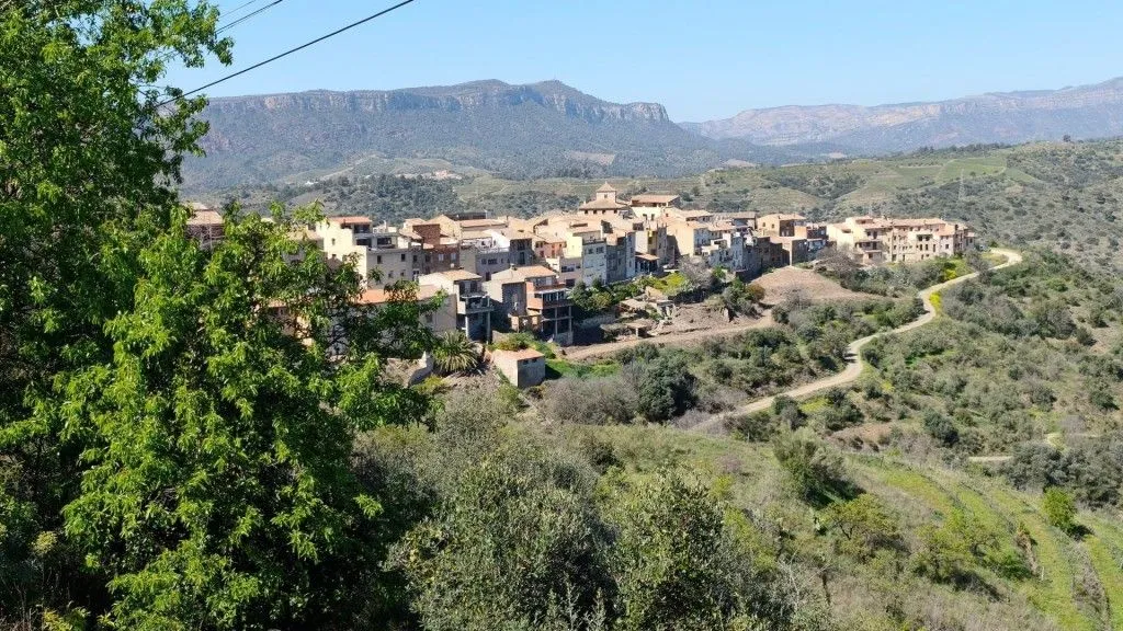 Boutique Vineyard with Winery in Priorat