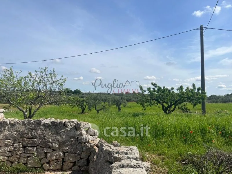 Giardino - Trullo with Olive Grove in Ostuni