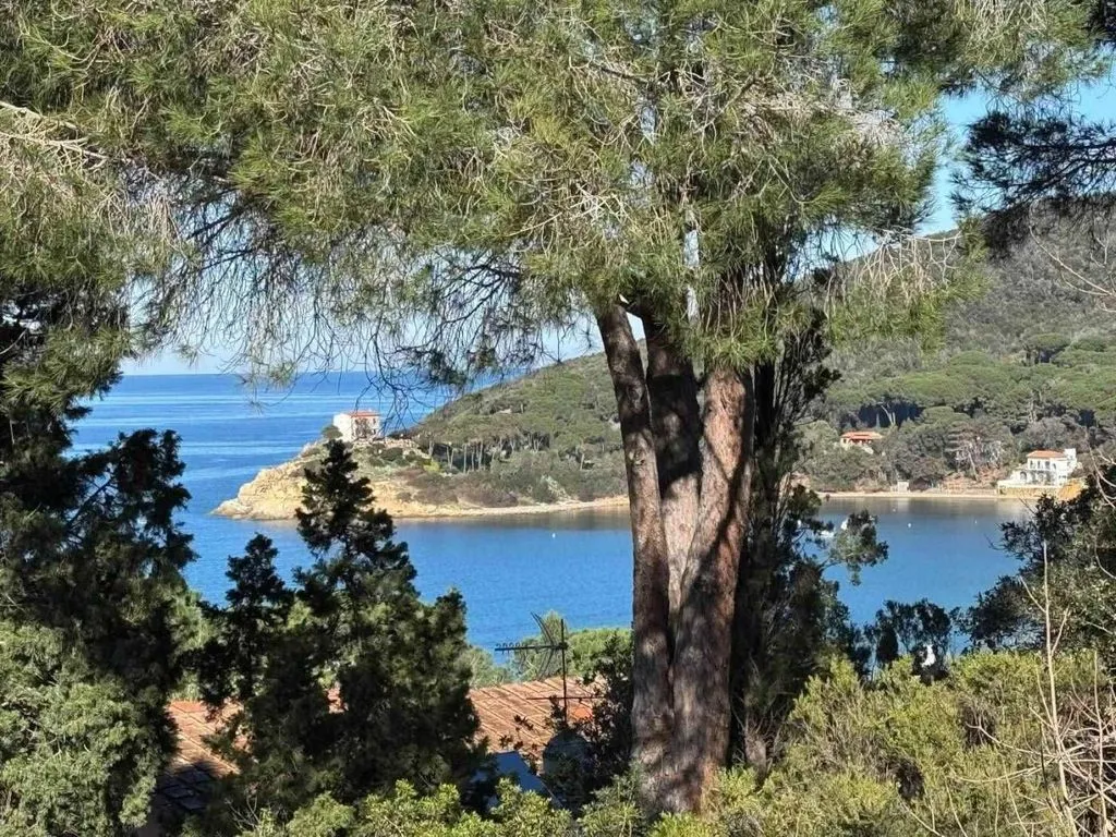 Aed - Villa with Sea View in Procchio, Marciana