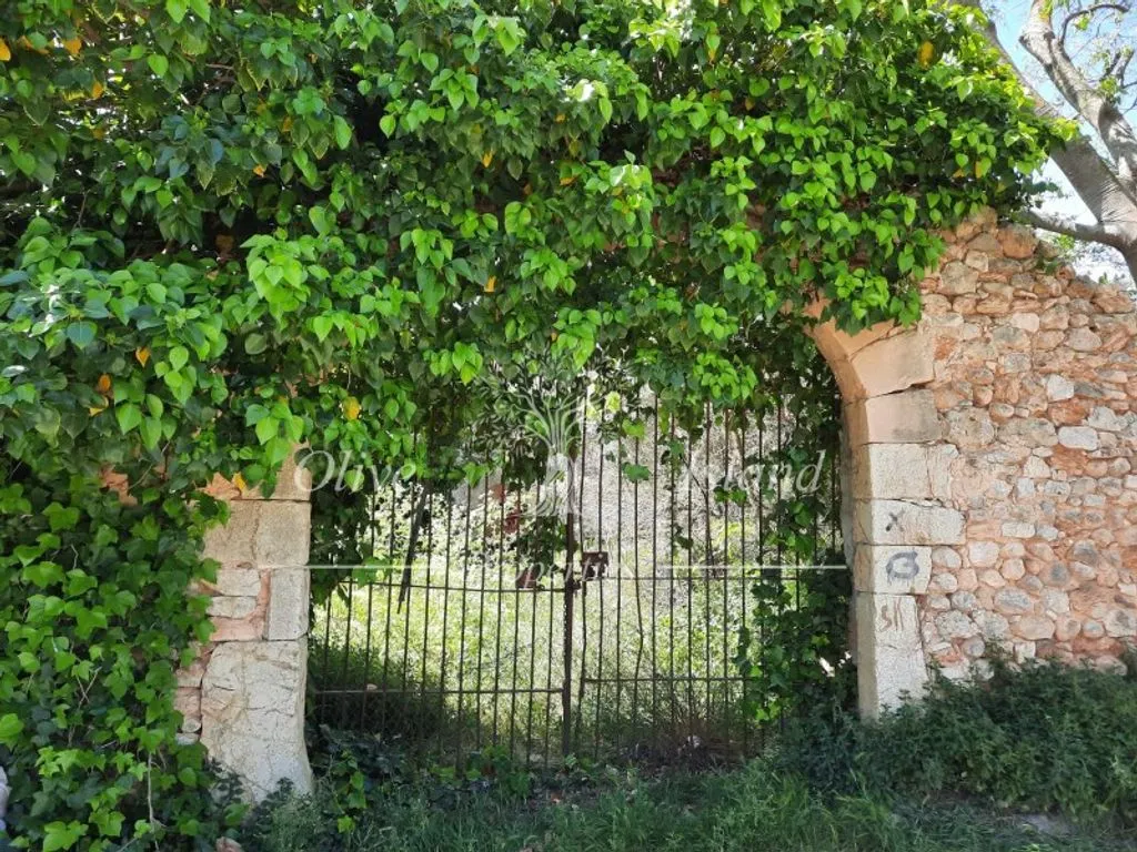 Jardin - 18th Century Manor for Restoration in Binissalem