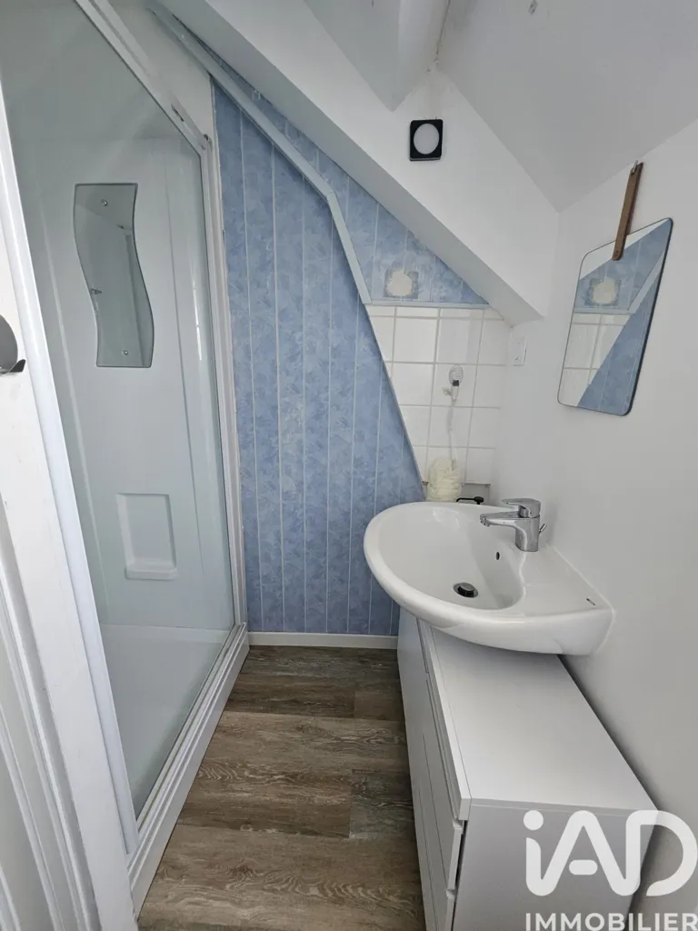 Salles de bain - Maison de Caractère Rénovée avec Jardin à Plessé