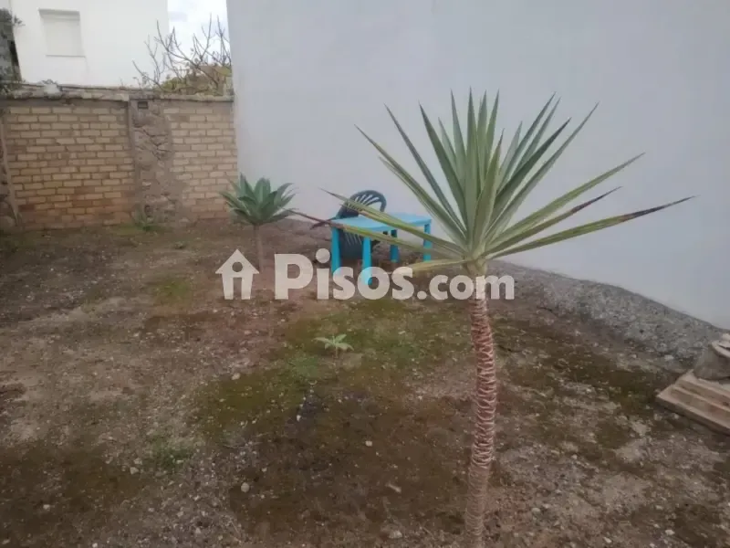Garden - Rustic House with Garden in La Atalaya