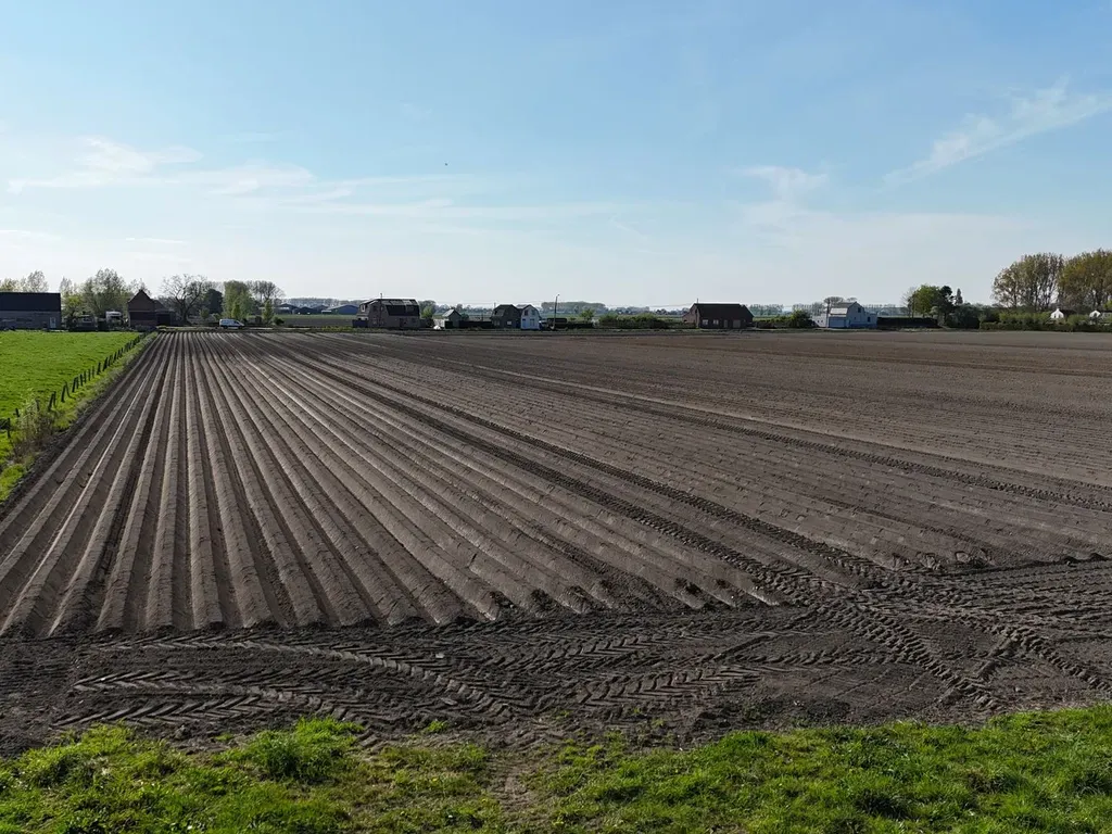 Garden - Rural Plot with Open Building Potential in Watervliet