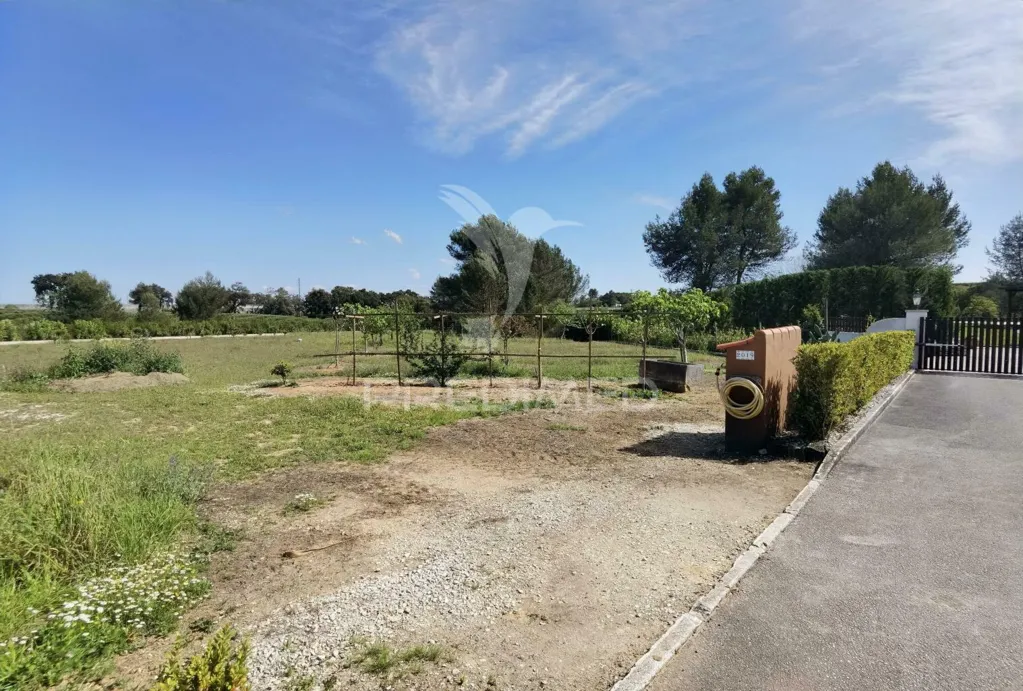 Jardin - Quinta with Olive Grove in Torre do Bispo