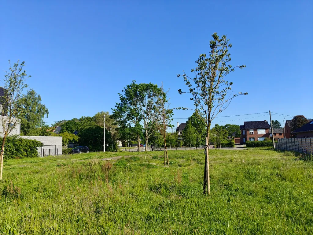 Aed - Open Development Plot in Mol