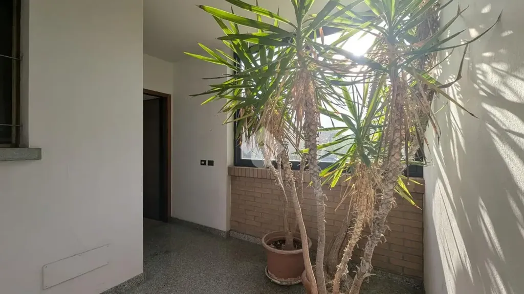 Entrée - Apartment with Triple Exposure in Gattatico