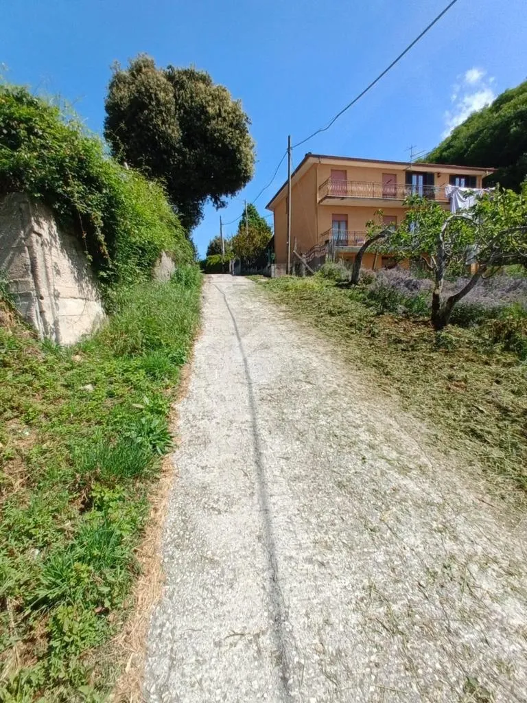 Välivaade - Buildable Plot with Bus Access in Bellegra
