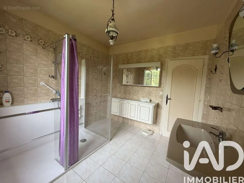 Salles de bain - Maison de Caractère avec Jardin à Arçonnay