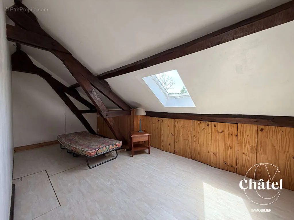 Pièces - Maison de Maître en Pierre avec Jardin Constructible