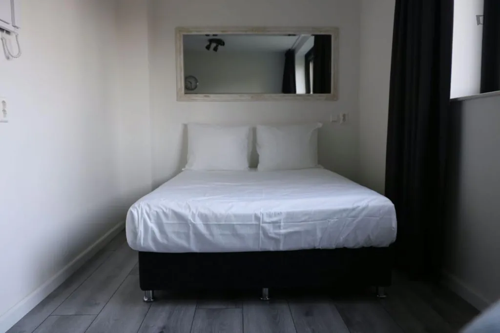 Magamistoad - Studio with Private Bathroom in Sloten