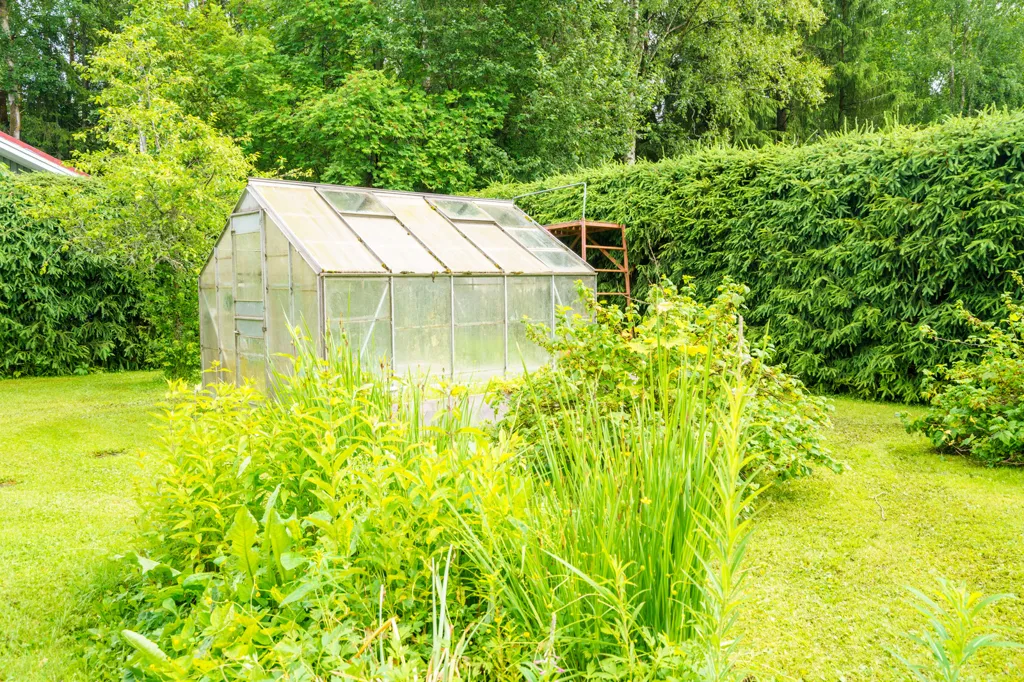Jardin - Detached House with Pool in Kuusto