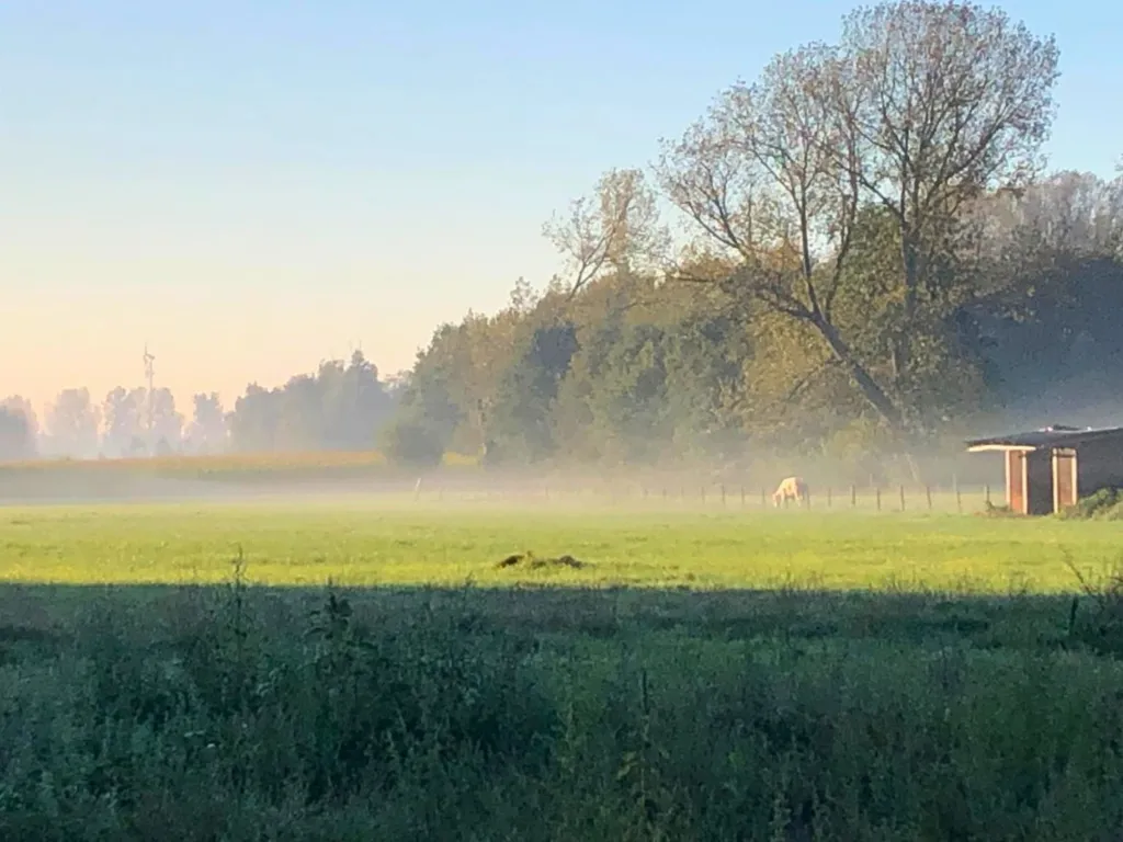 Aed - Buildable Plot with South View in Lokeren