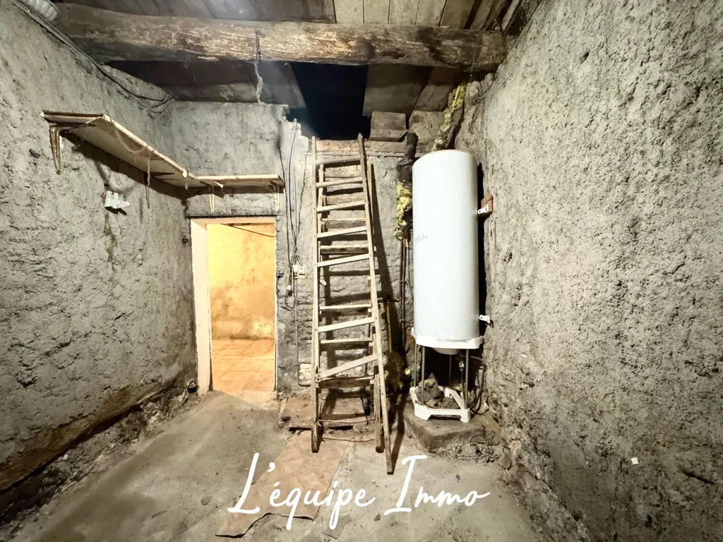 Toad - Village House with Potential in Cadours