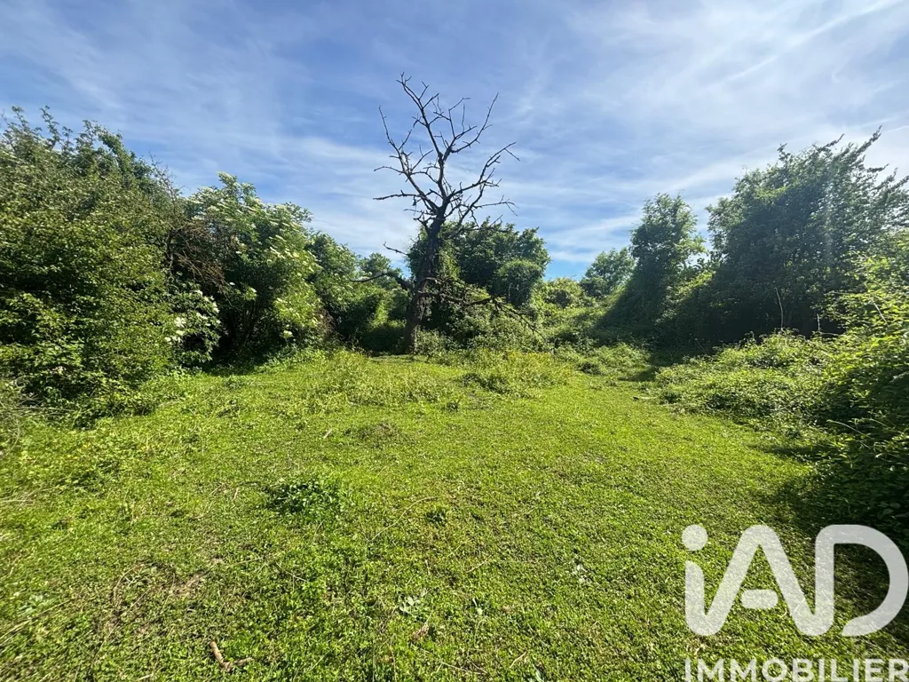 Aed - Multi-Unit Property with Garden in Bucey-lès-Gy