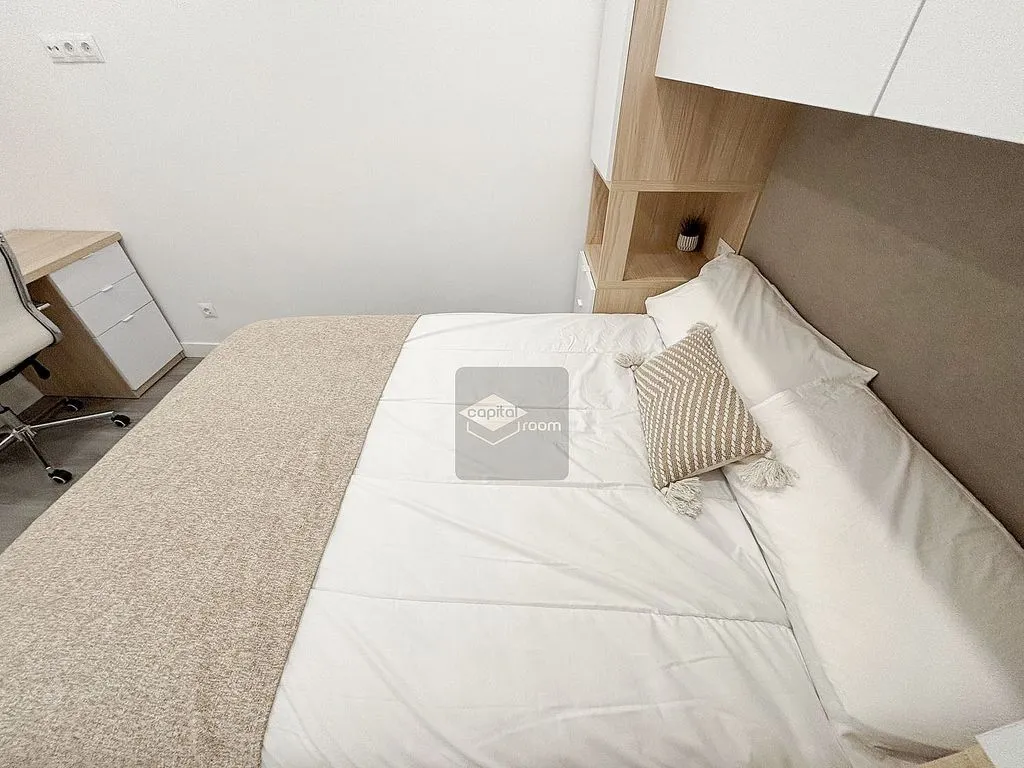 Fully Furnished Flat in Recoletos, Madrid