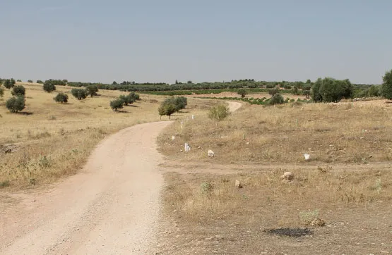 Land Parcel in Campo de Criptana, Ciudad Real
