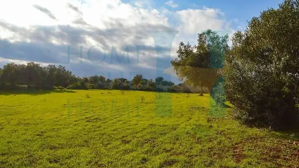 Jardin - Baglio-Style Property with Natural Views in Noto