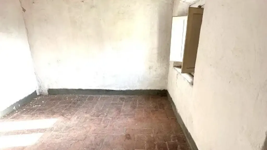 Toad - Terraced Villa to Renovate in Massarosa