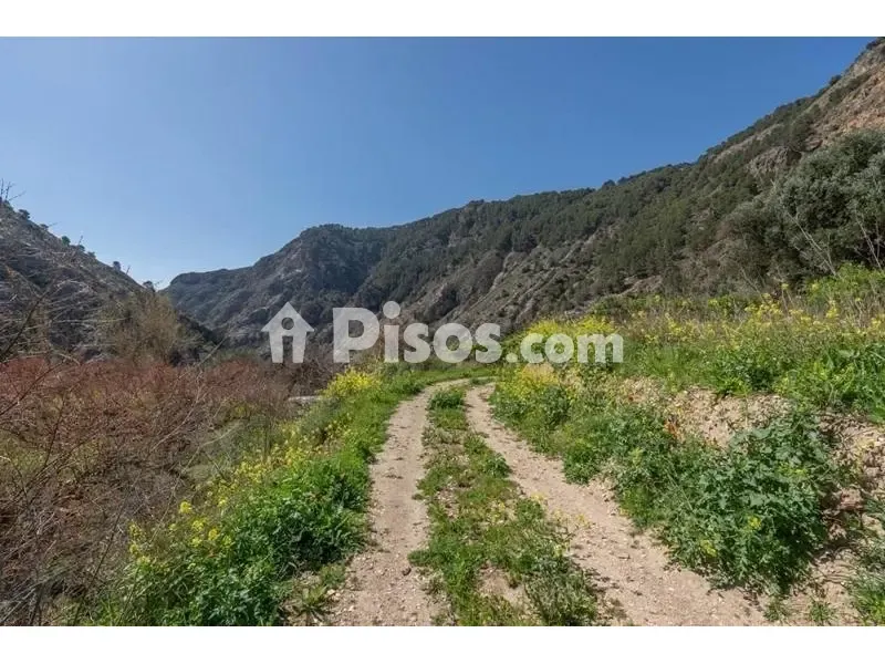 Giardino - Rustic Finca with Mountain View in Cónchar