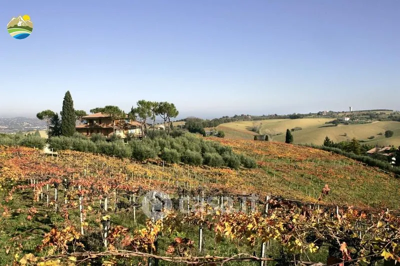 Jardin - Panoramic Villa with Private Park in Notaresco