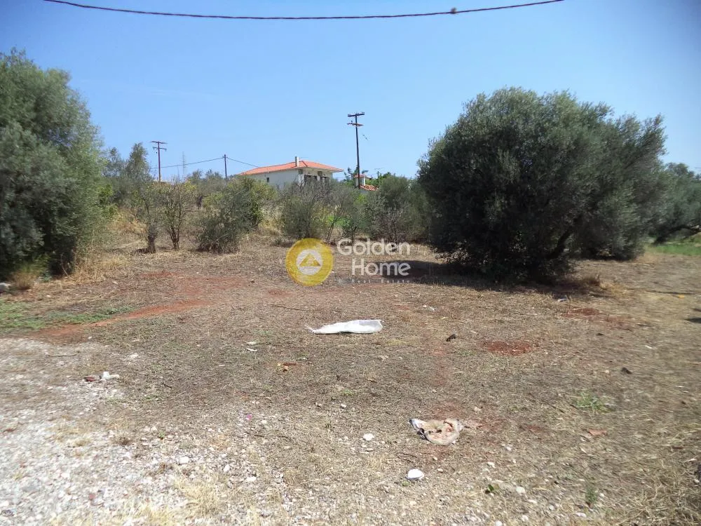 Aed - Plot with Sea View in Akrotiri, Syllion