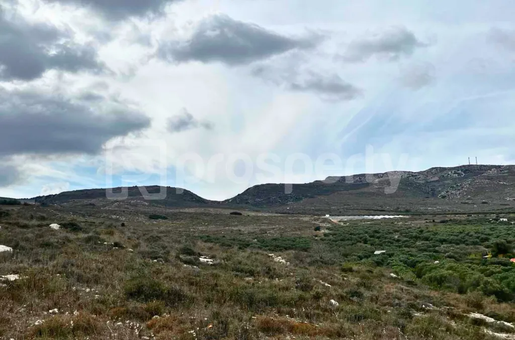 Giardino - Buildable Plot with Frontage in Alagni, Crete