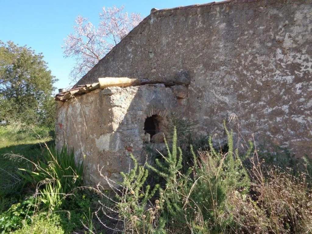 Extérieur - Rustic House with Land in Vale Judeu, Loulé