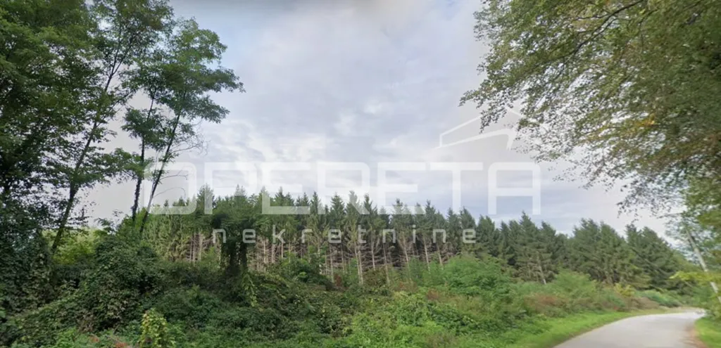 Garden - Detached House with Forest View in Kelemen
