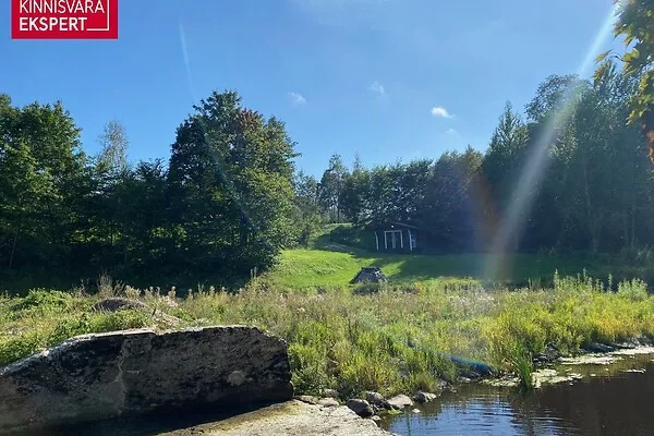 Jardin - Terrain à Tori vald