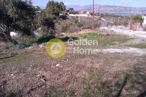 Jardin - Detached House with Garden in Ampelakia Centre