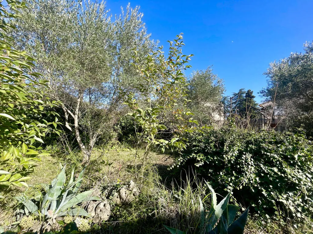 Jardin - Villa avec Garage et Atelier à Clermont-l'Hérault