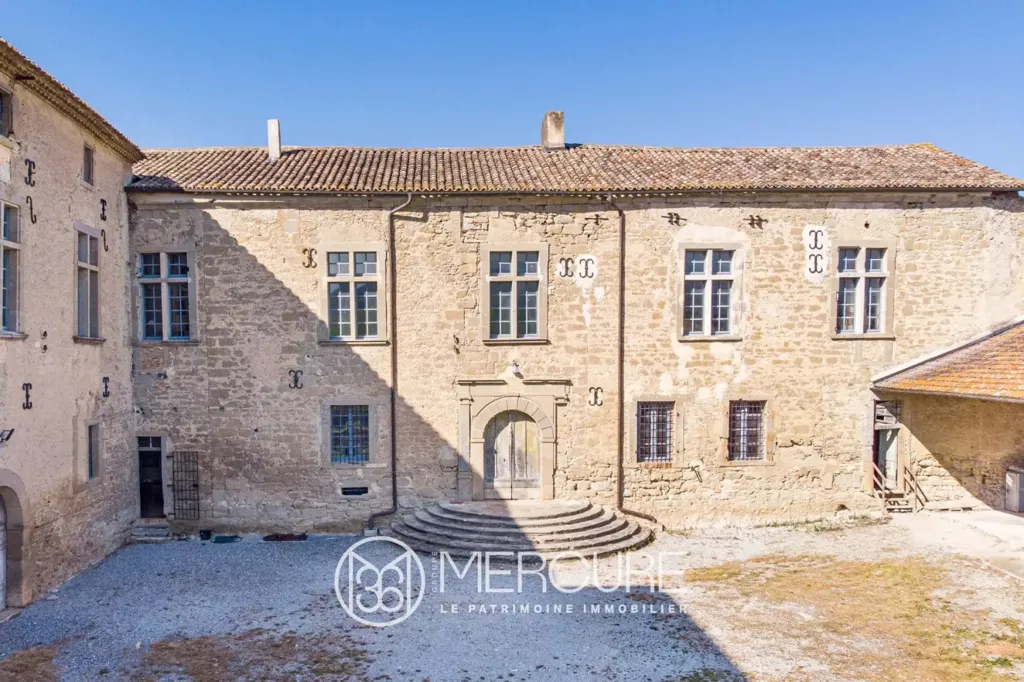 Giardino - Restored Medieval Château with Pyrenees View