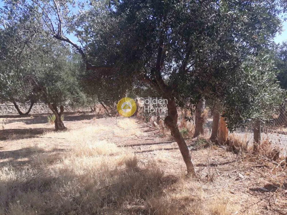 Giardino - Buildable Plot with Sea View in Agia Marina, Chania