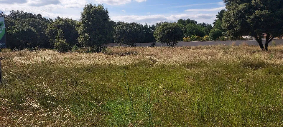 Garden - Buildable Plot with South View in Caumont-sur-Durance