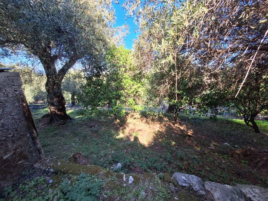 Appartement 3 pièces à Corfu
