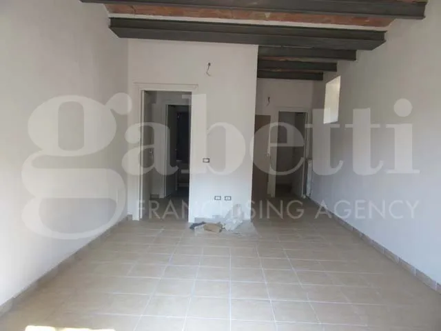 Toad - Rustic Tuscan-Style Apartment in Gavorrano