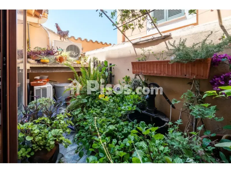 Giardino - Terraced House with Solarium in Calvià