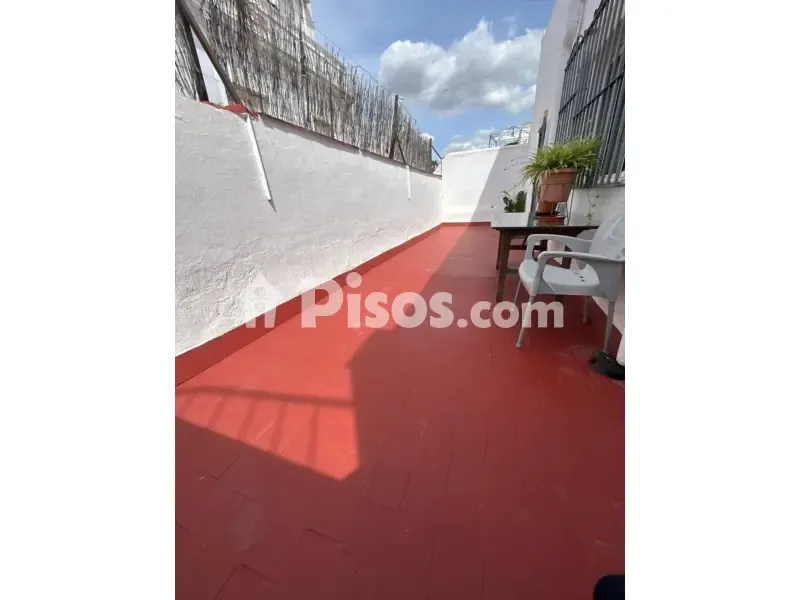 Terrass - Loft with High Ceilings in Alameda de Hércules