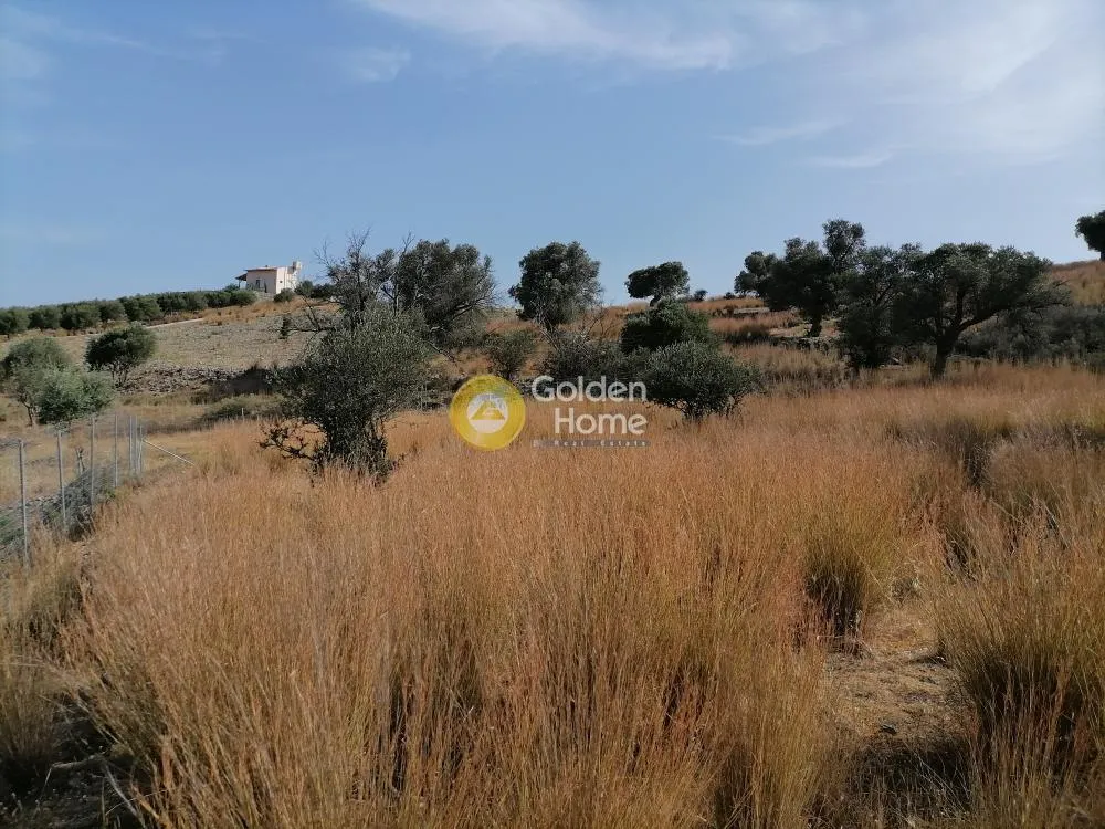 Jardin - Agricultural Plot with Mountain View in Phaistos
