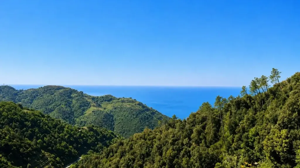 Appartamento with Panoramic Terrace in Vernazza