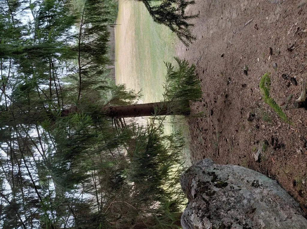 Terrain à Porvoo