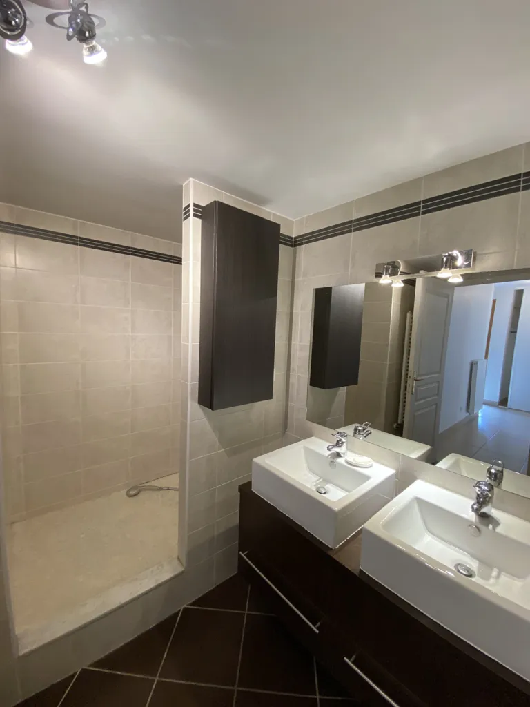 Salles de bain - Duplex avec Terrasse dans Résidence de Standing à Lyon 5