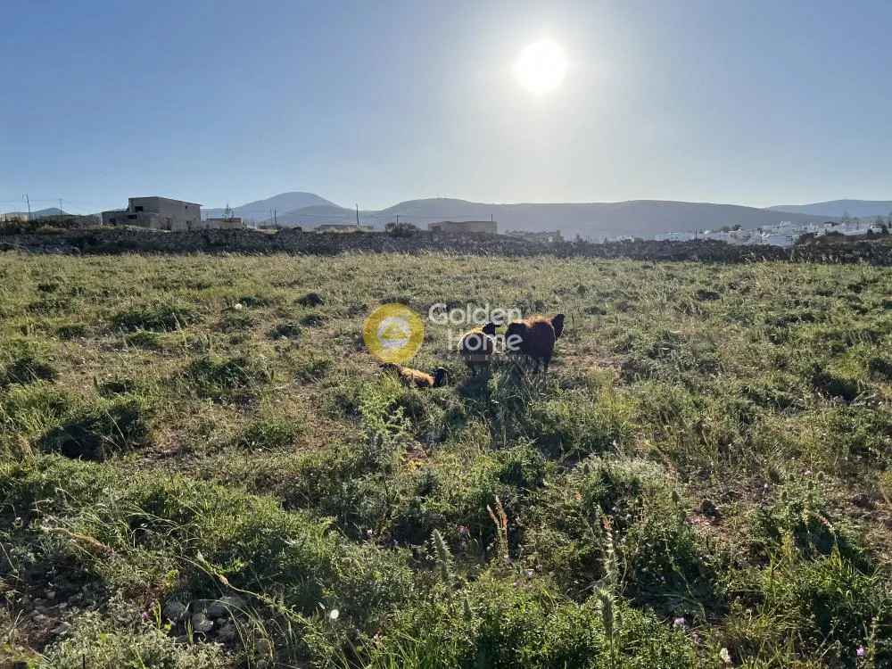 Jardin - Buildable Plot with Sea View in Maroussi