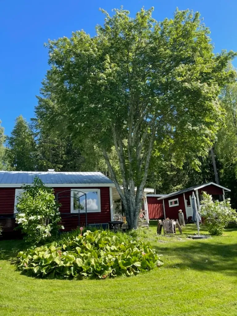 Jardin - Cottage with Lakefront in Falmarksheden