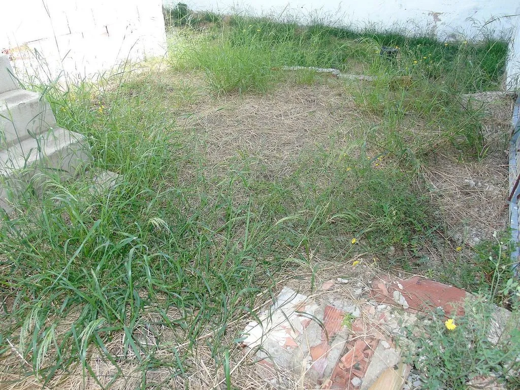 Aed - Chalet to Renovate with Garden in Ceutí