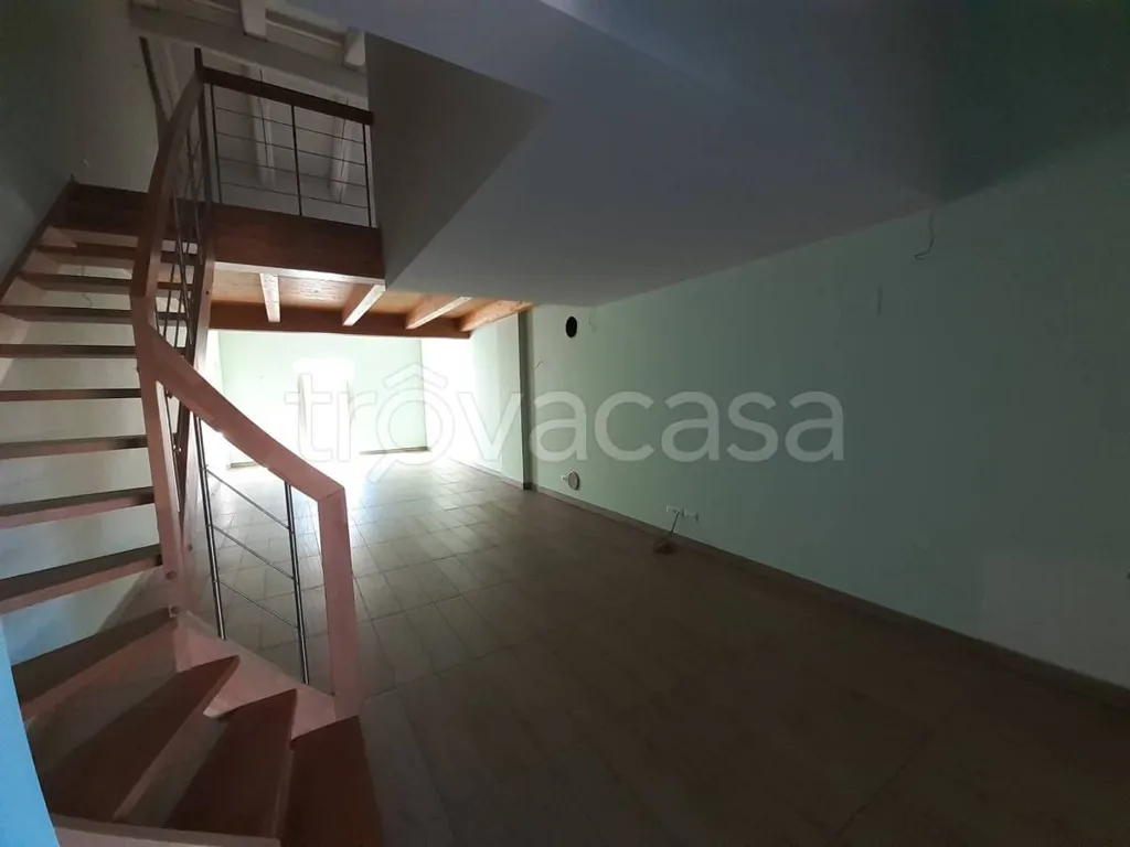 Toad - Prestigious Apartment with Terrazzo in Cherasco