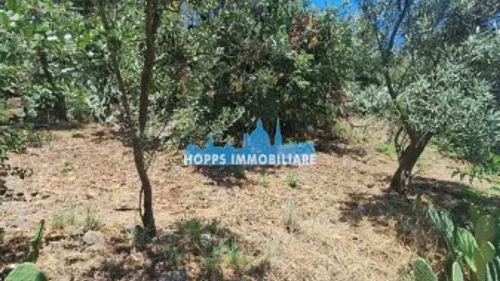 Giardino - Rustic Villa for Renovation in Monreale