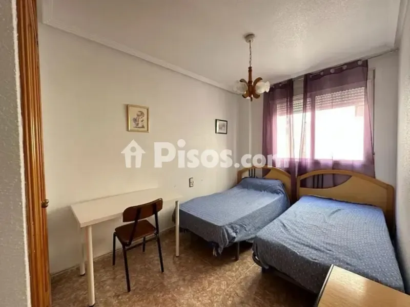 Magamistoad - Modern Flat with Garden in El Carmen
