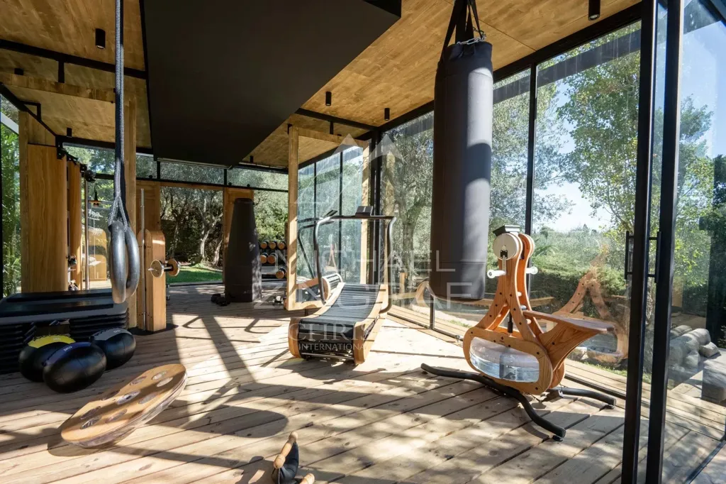 Toad - Renovated Villa with Pool near Valbonne