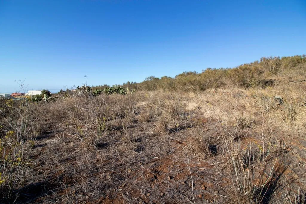 Garden - Building Land with Chalet Potential in El Rosario